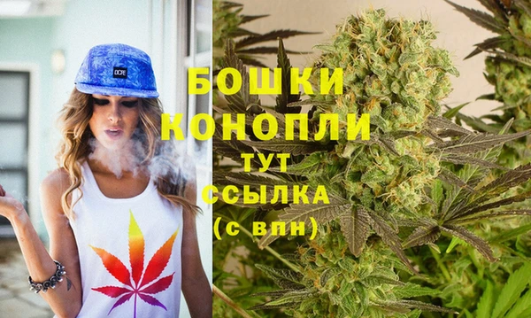 гидропоника Шадринск