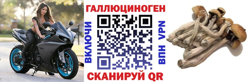 Псилоцибиновые грибы мухоморы  Купить  Павлово 